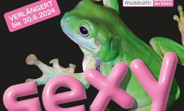 Sitzender Frosch, dazu der Ausstellungstitel "SEXY - Triebfeder des Lebens" verlängert bis 30.6.2024 im Naturhistorischen Museum Basel
