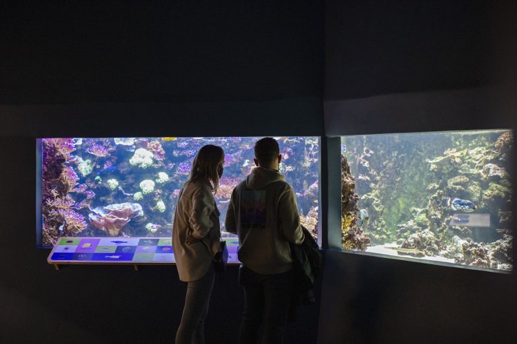 Nos galeries d'aquariums