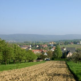 The Pechelbronn region
