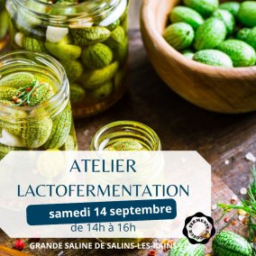 Atelier lacto-fermentation à la Grande Saline