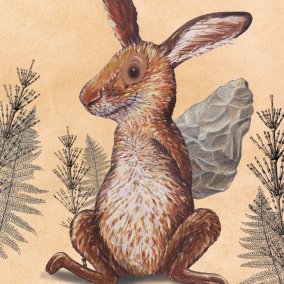 Gwunderhaas Museum.BL & KBL_Illustration, Kathrin Schärer Gwunderhaas Museum.BL & KBL_Illustration, Kathrin Schärer