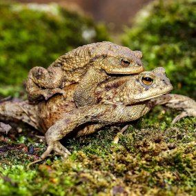 Vernissage: Neue Naturschätze im «Wilden Baselbiet» Vernissage: Neue Naturschätze im «Wilden Baselbiet»