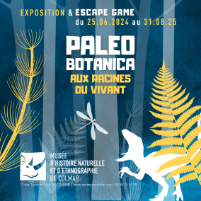 Affiche de l'exposition Paleobotanica - Aux racines du vivant