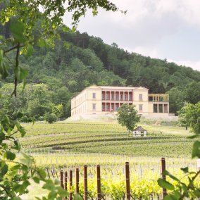 © Tous droits réservés Schloss Villa Ludwigshöhe