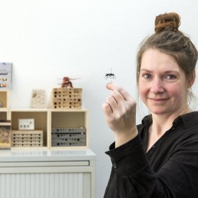 Wespen – Bestechend schön und mehr als nur Plagegeister FhdK ManuelaSann 7425