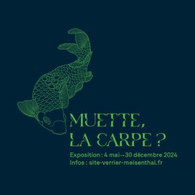 Exposition "Muette, la carpe ?"